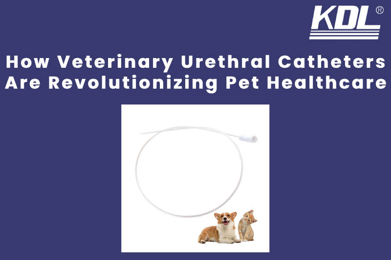 How Veterinary Urethral Catheters Are Revolutionizing Pet Healthcare