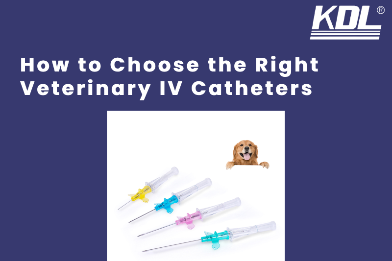 An informative image illustrating the process of selecting the correct veterinary IV catheter for animal treatment