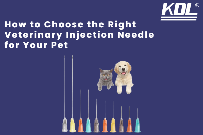 How to Choose the Right Veterinary Injection Needle for Your Pet