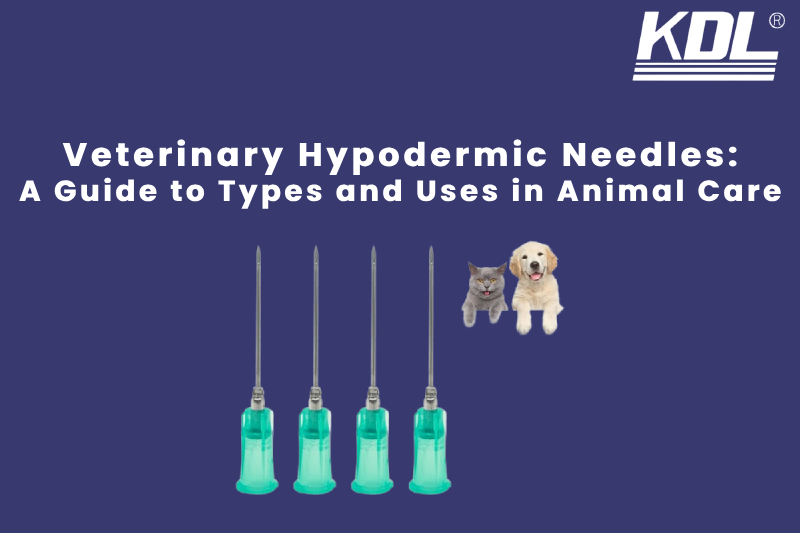 Understanding Veterinary Hypodermic Needles_ A Guide to Types and Uses in Animal Care