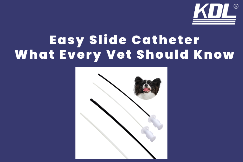 Easy Slide Catheters_ What Every Vet Should Know